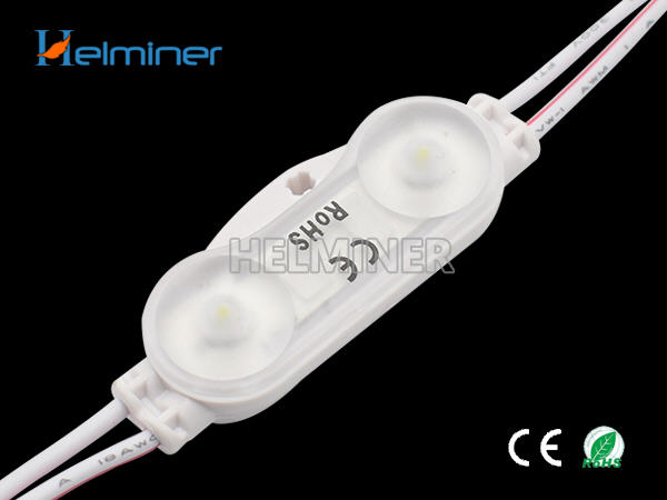  LED MODUL FÜR LICHTWERBUNG 1W 12V DC IP67